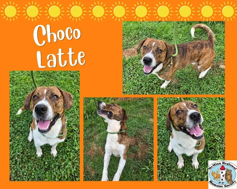 Choco Latte thumbnail 2