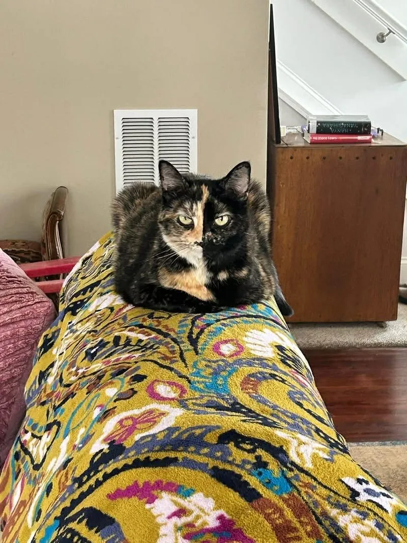 Sparkly Girl thumbnail 2