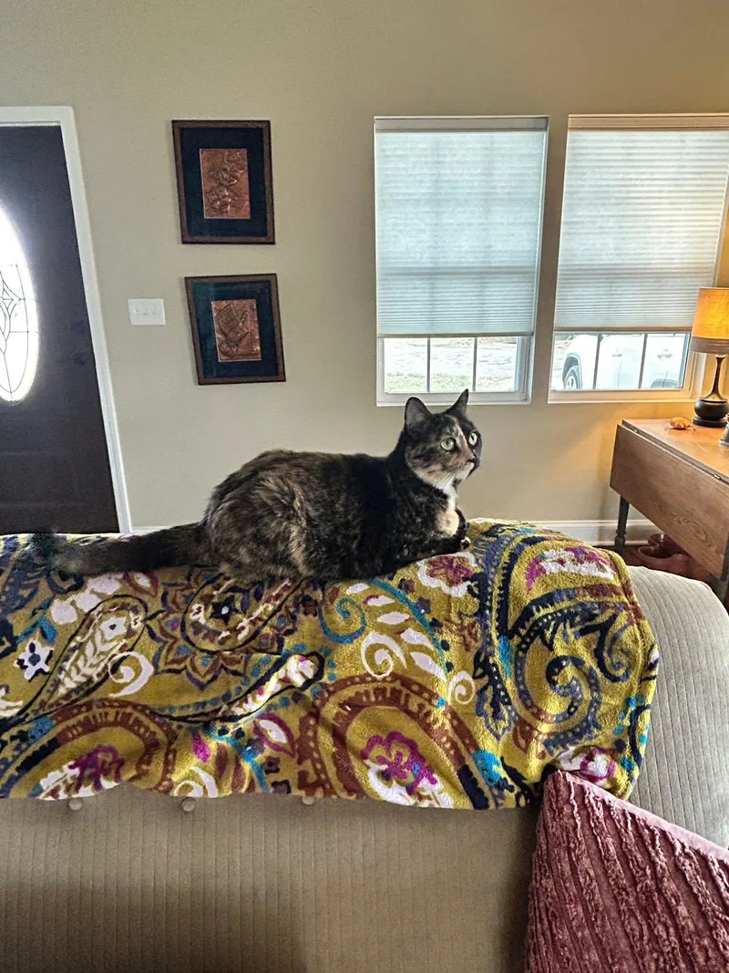 Sparkly Girl thumbnail 3