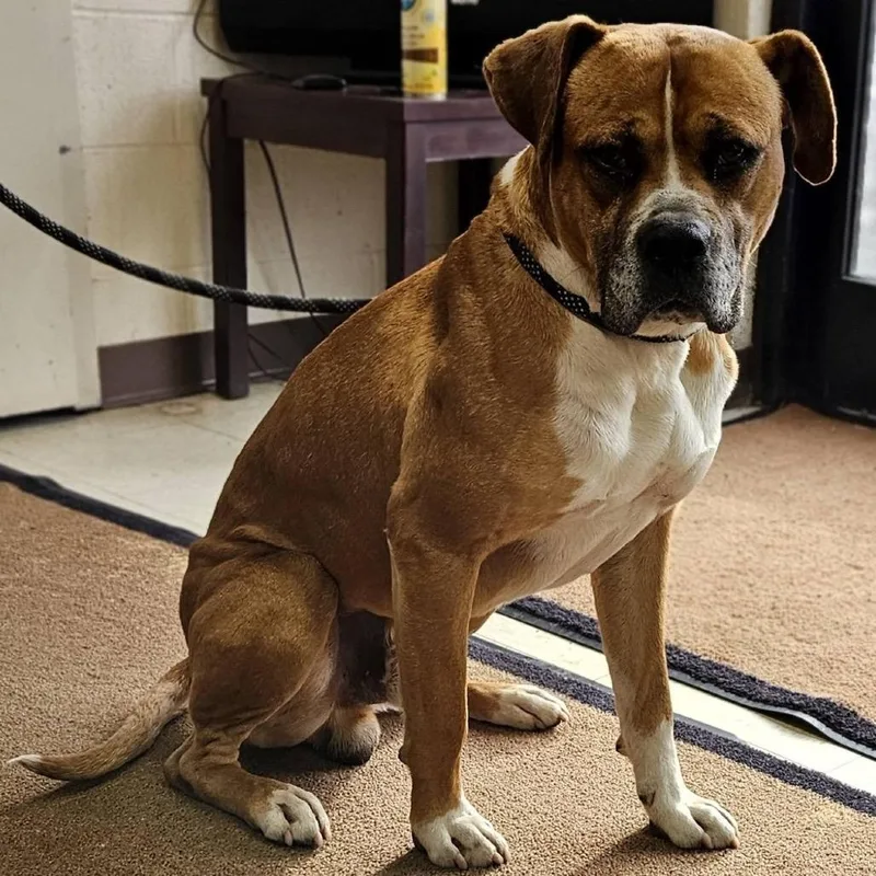 Cash Money Records thumbnail 2