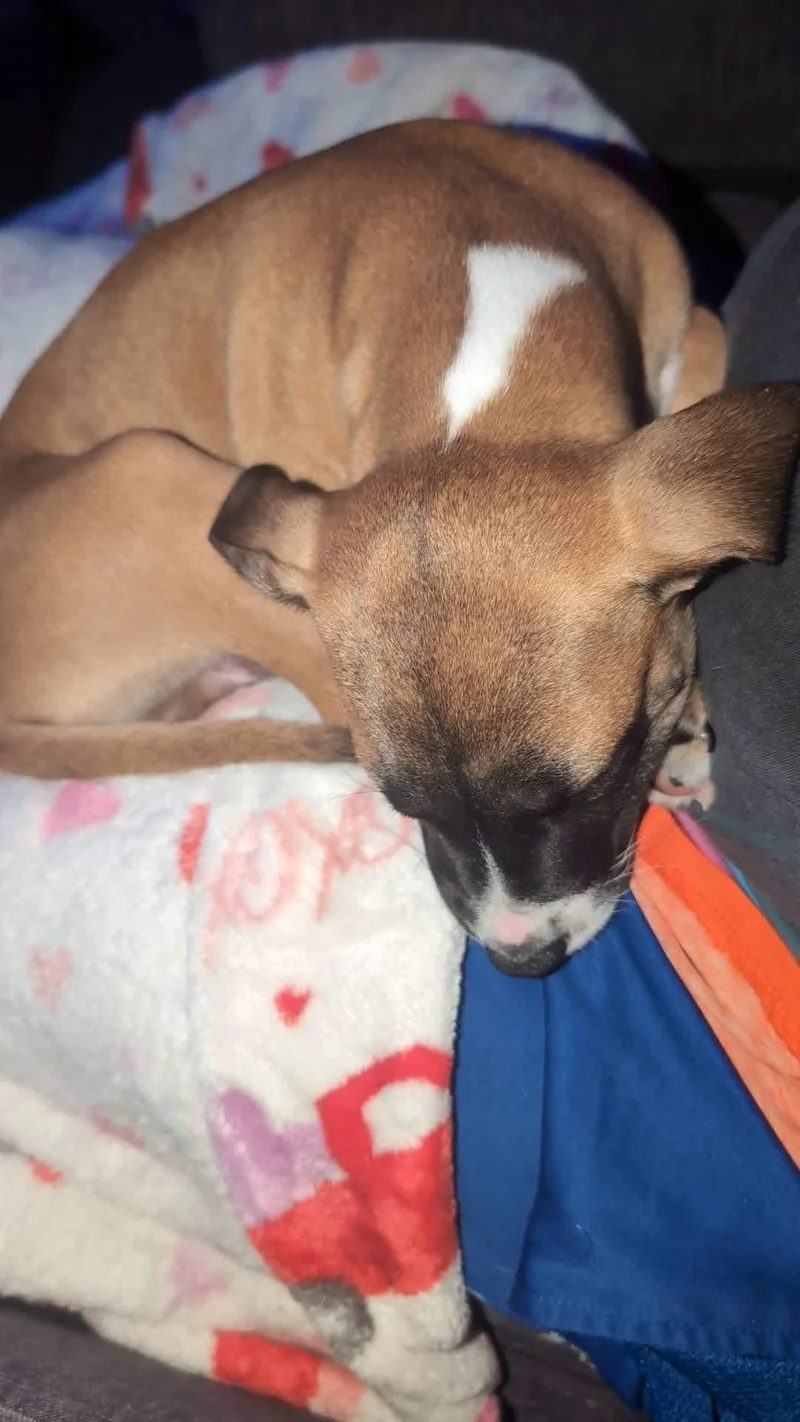 Zeke