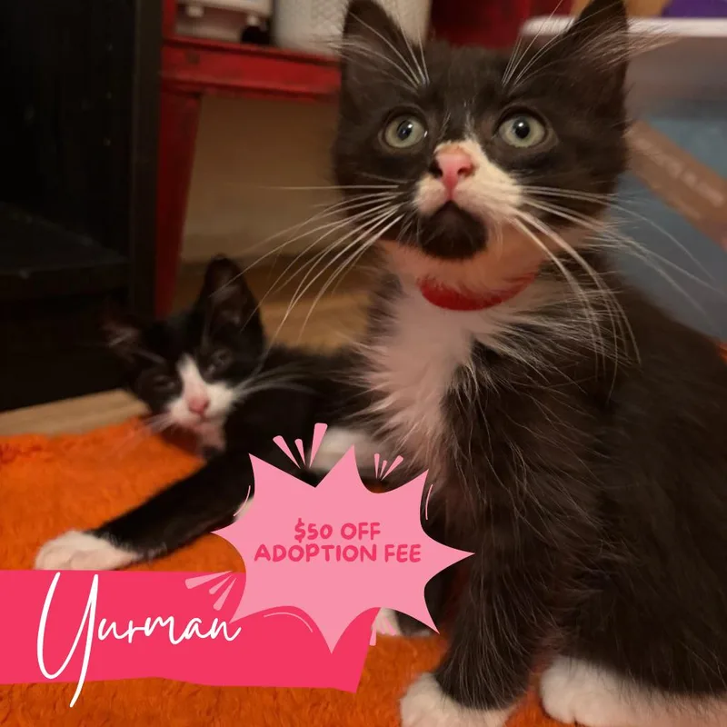 Winston & Yurman thumbnail 6