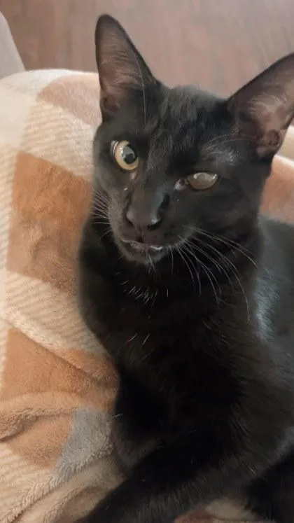 John Deere thumbnail 2