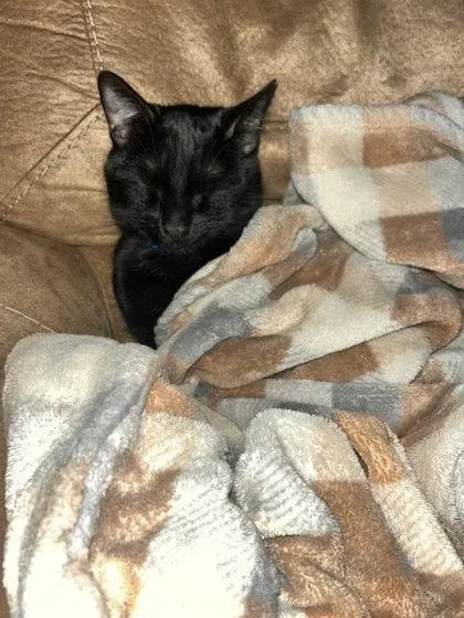 John Deere thumbnail 3