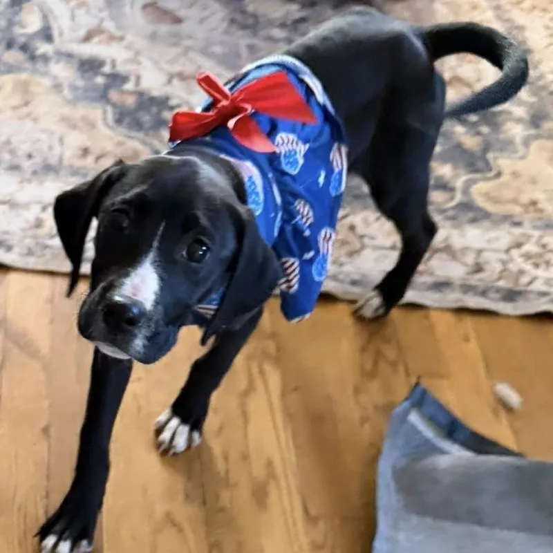 Clara Bow thumbnail 3