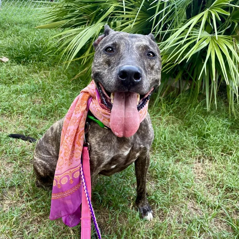 Rousseau thumbnail 2