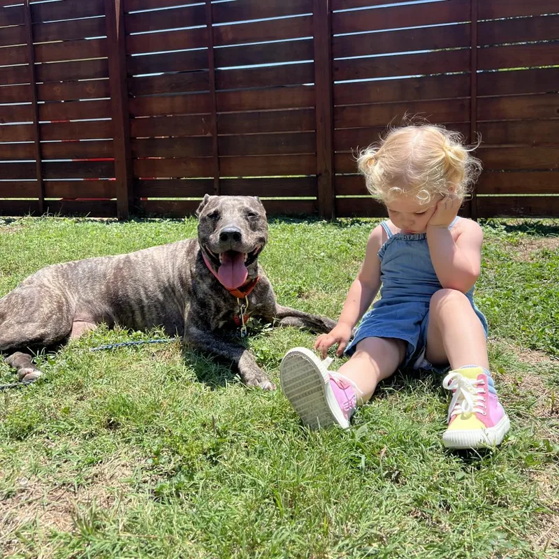 Rousseau thumbnail 3