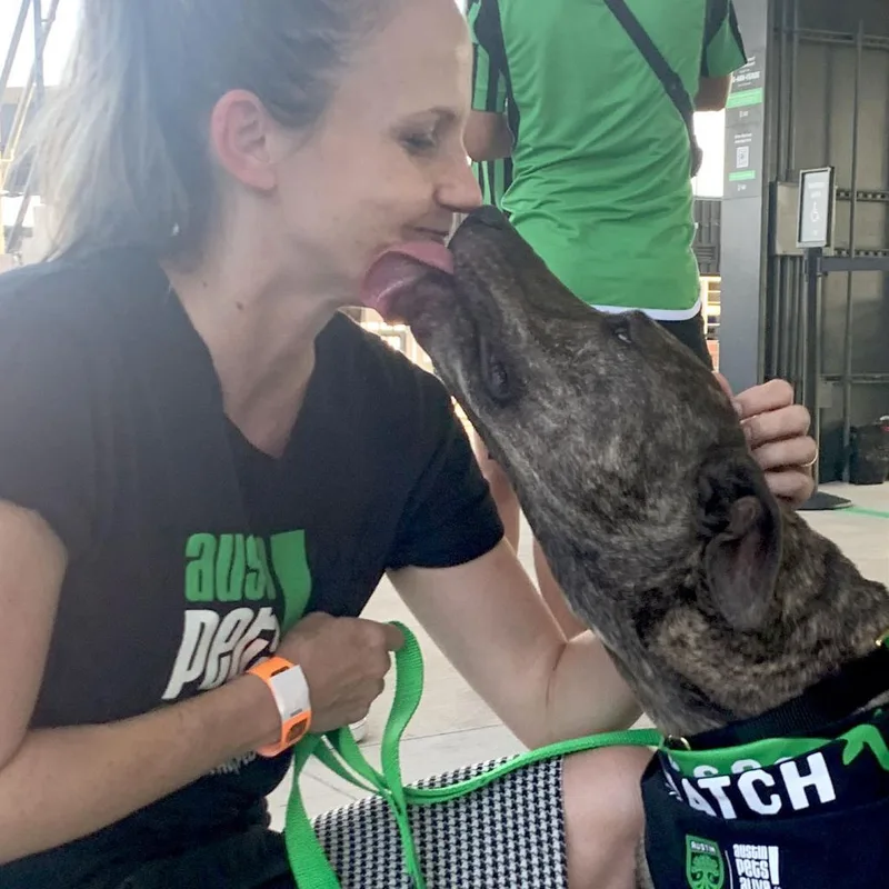 Rousseau thumbnail 4