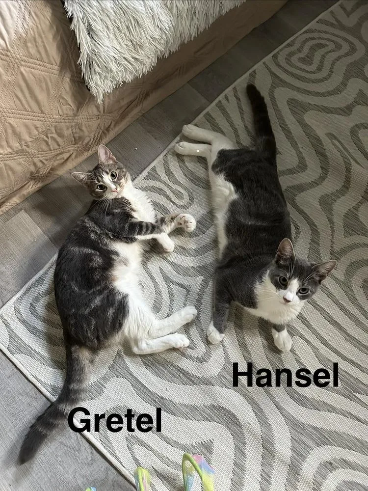 Hansel & Gretel thumbnail 5