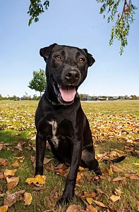 Abby  Good Time thumbnail 4