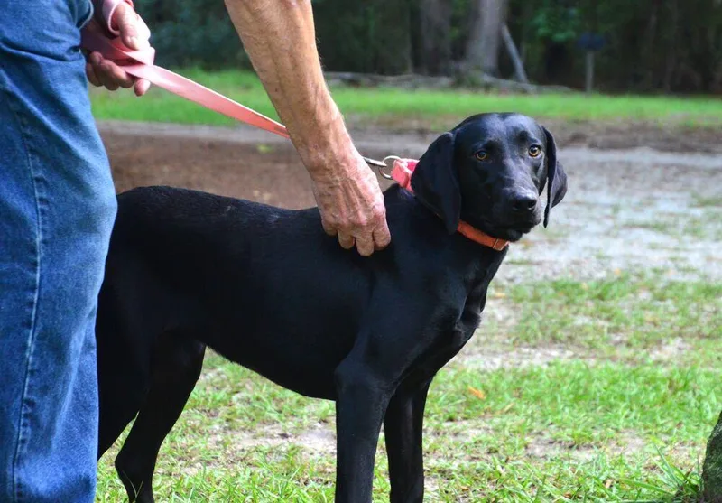 Addie thumbnail 2