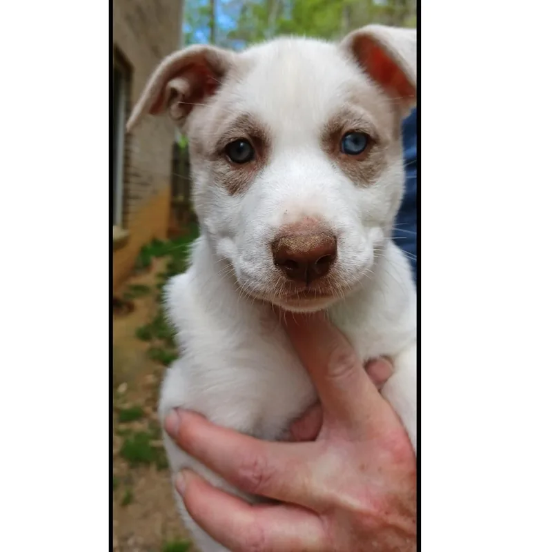 Francisco thumbnail 3