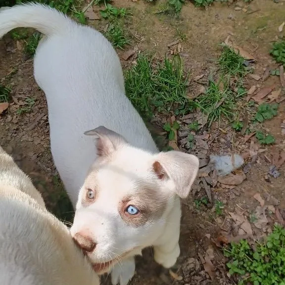 Francisco thumbnail 5