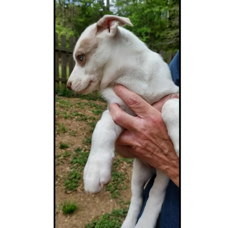 Francisco thumbnail 6