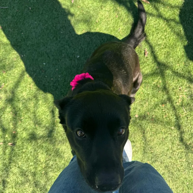 Maggie June thumbnail 3