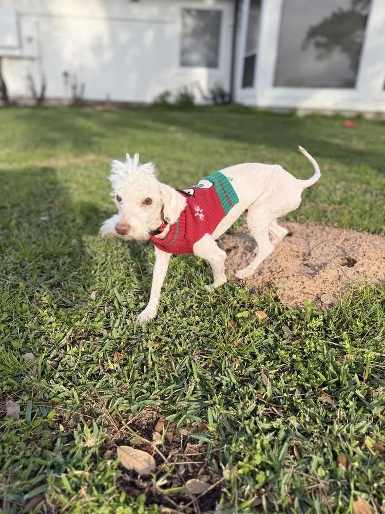 Snowbank thumbnail 2