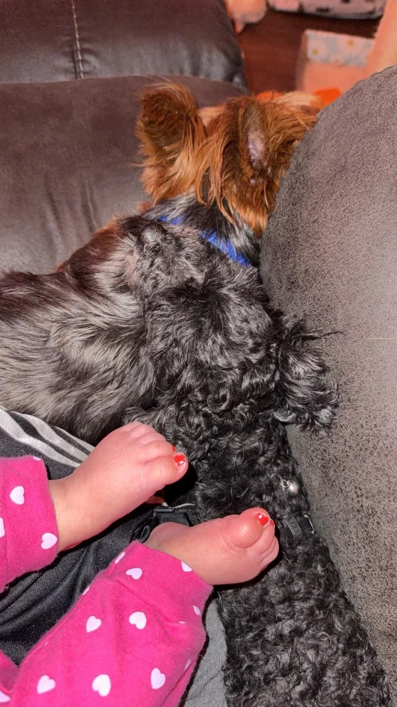 Ollie and rosie thumbnail 3