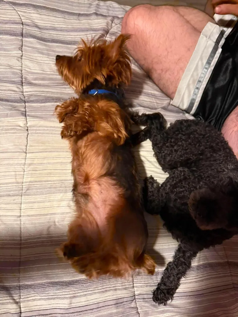Ollie and rosie thumbnail 5