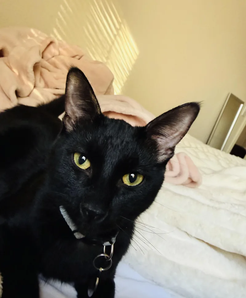 Poppy & Mavis thumbnail 2