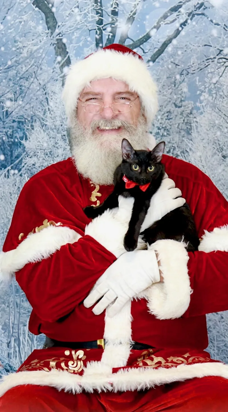 Poppy & Mavis thumbnail 4