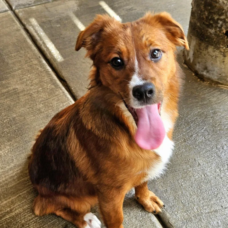 Kirby thumbnail 2