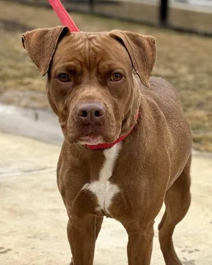 Charlotte thumbnail 2