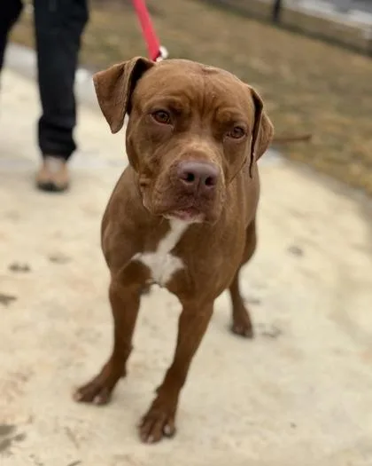 Charlotte thumbnail 3