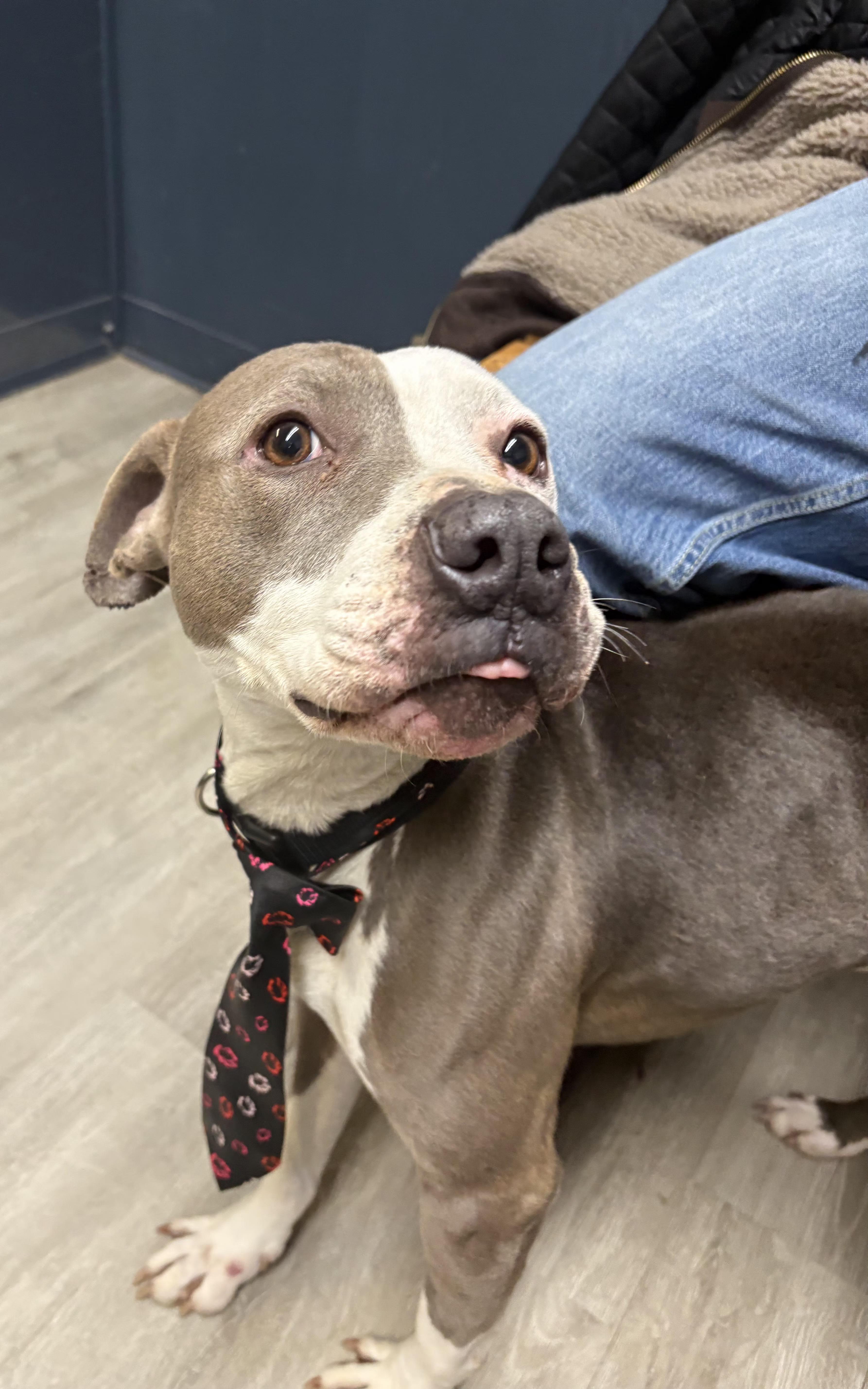 Furdinand thumbnail 2