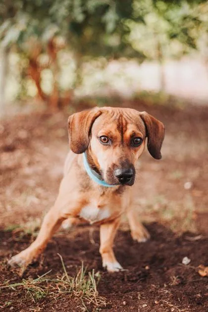 A Hudson thumbnail 2