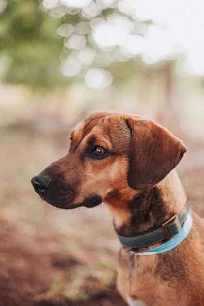 A Hudson thumbnail 3