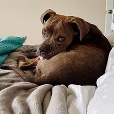 Zuzu