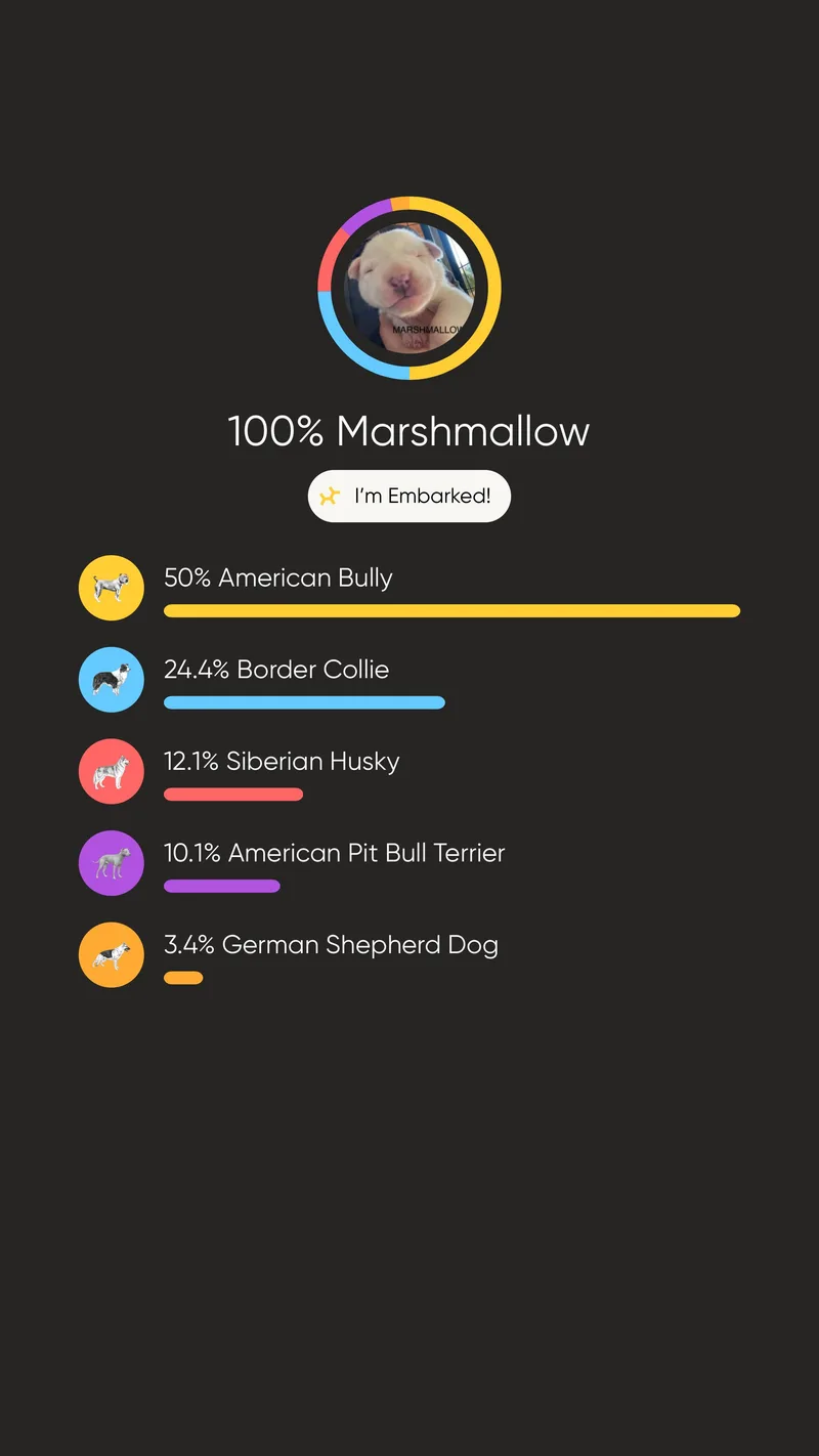 Marshmallow thumbnail 2