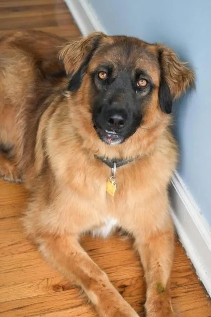 Maverick thumbnail 2