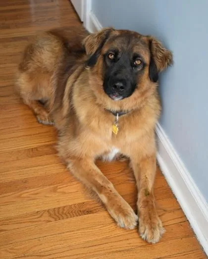 Maverick thumbnail 3