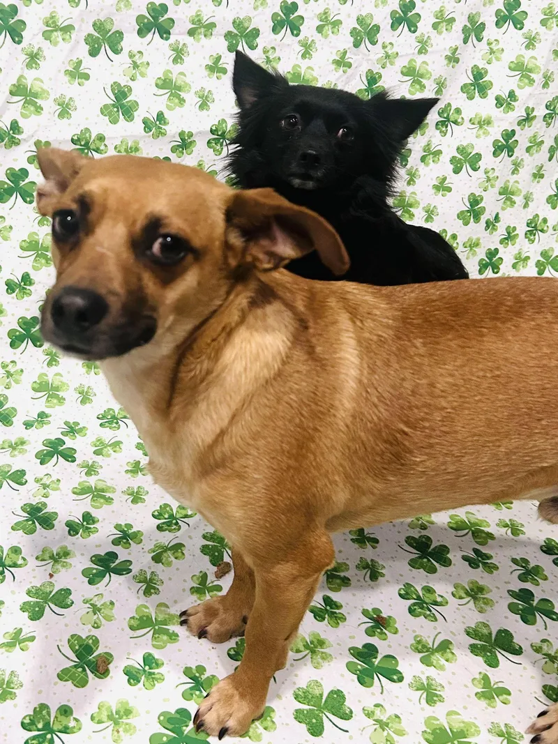 Milton And Marvin