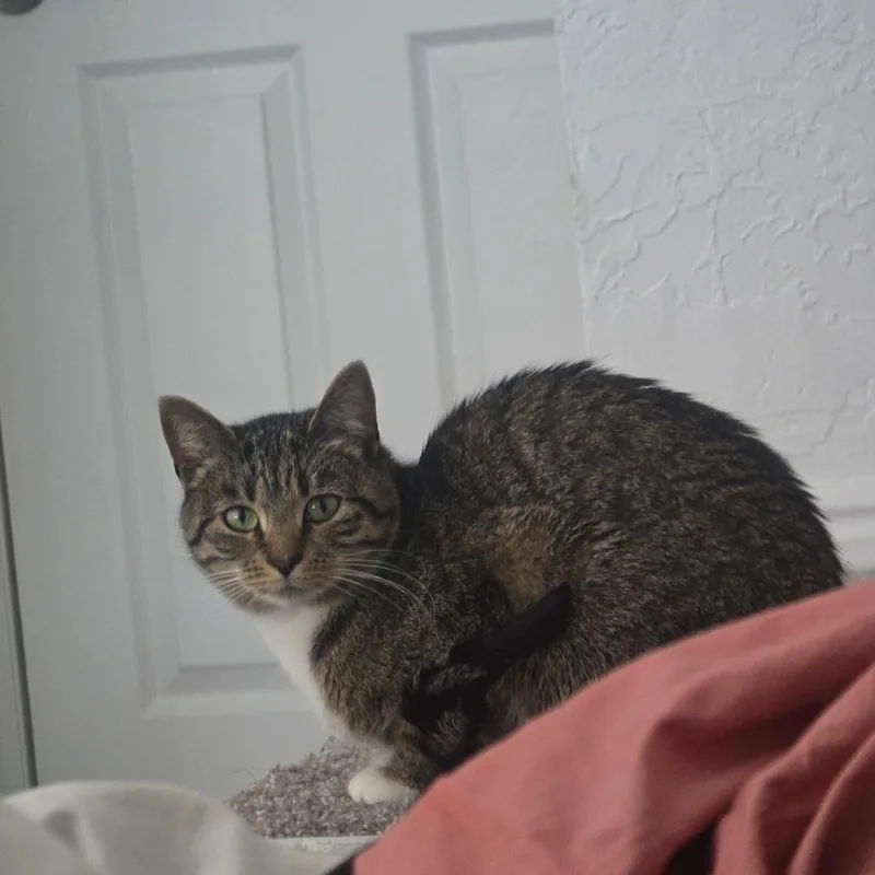 Tilly Tiner thumbnail 3