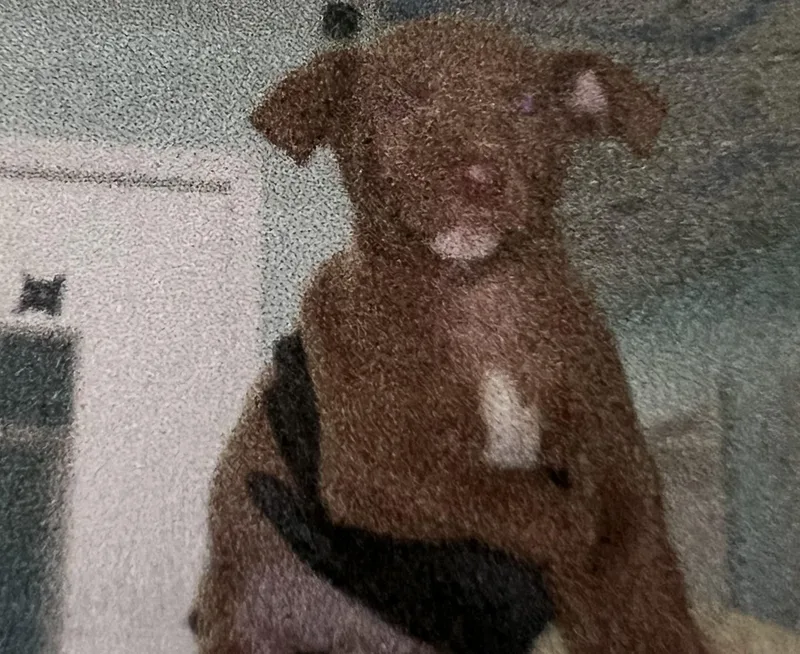 Lennox thumbnail 2