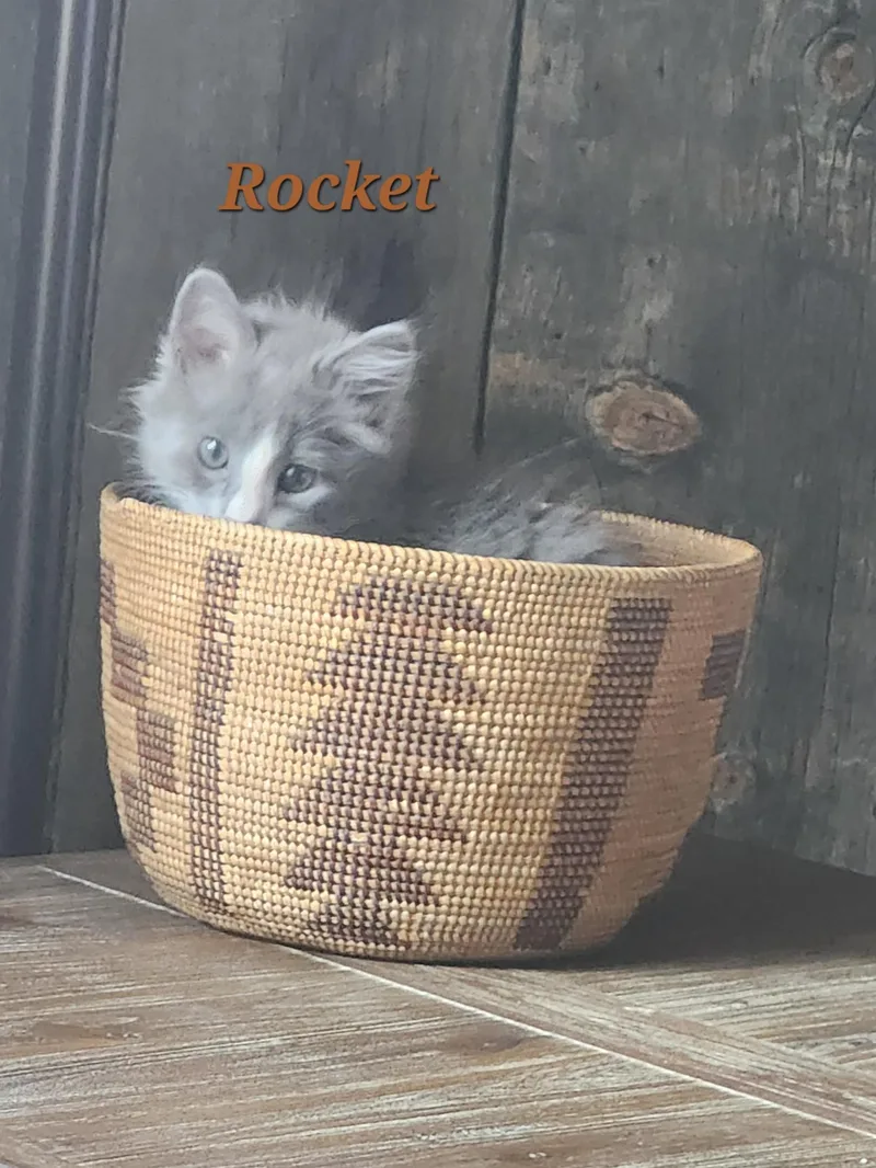 Rocket thumbnail 3
