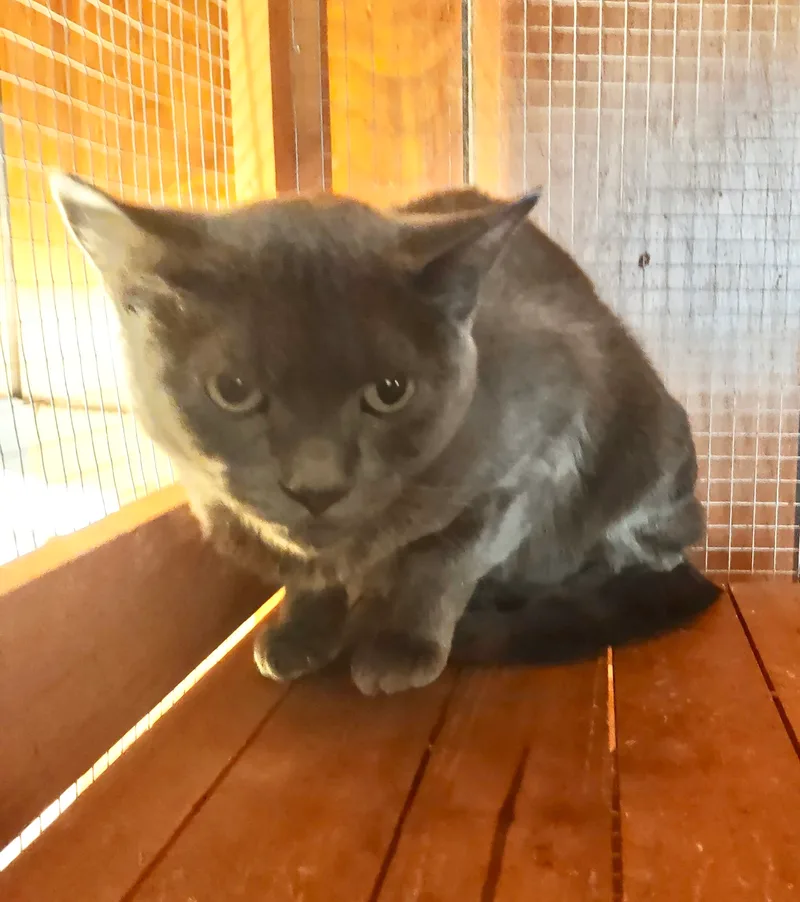 Aphrodite thumbnail 3