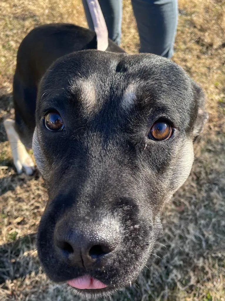 Sweet Boy thumbnail 2