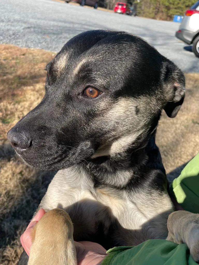 Sweet Boy thumbnail 4