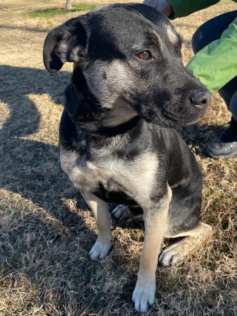 Sweet Boy thumbnail 5