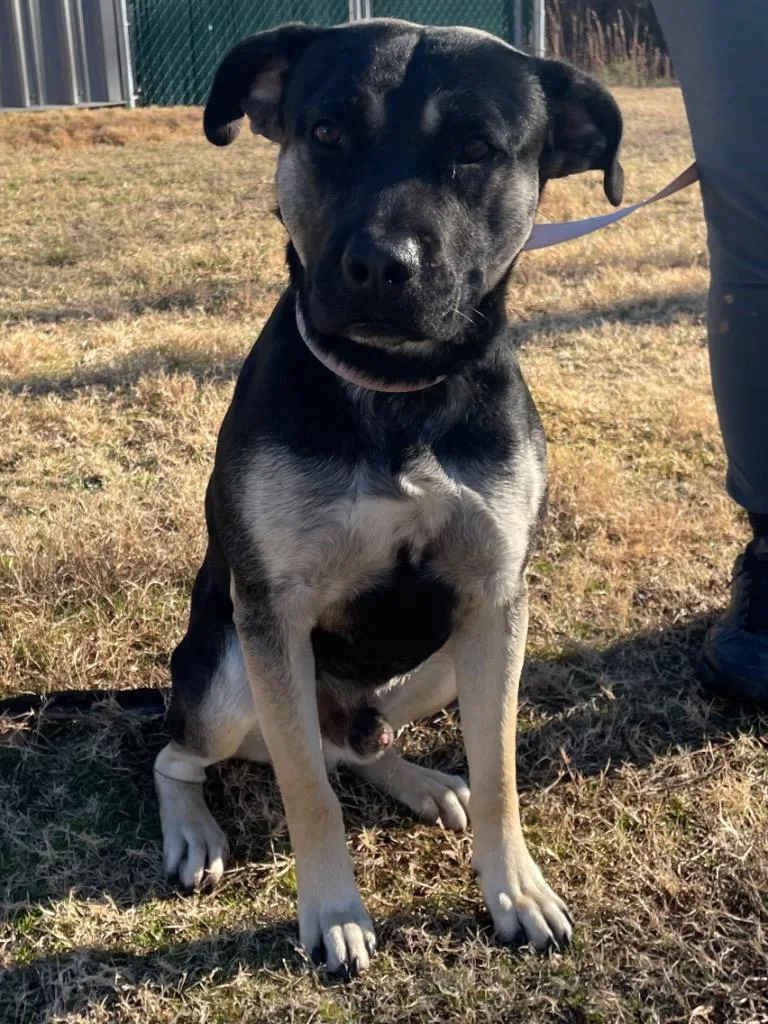 Sweet Boy thumbnail 6