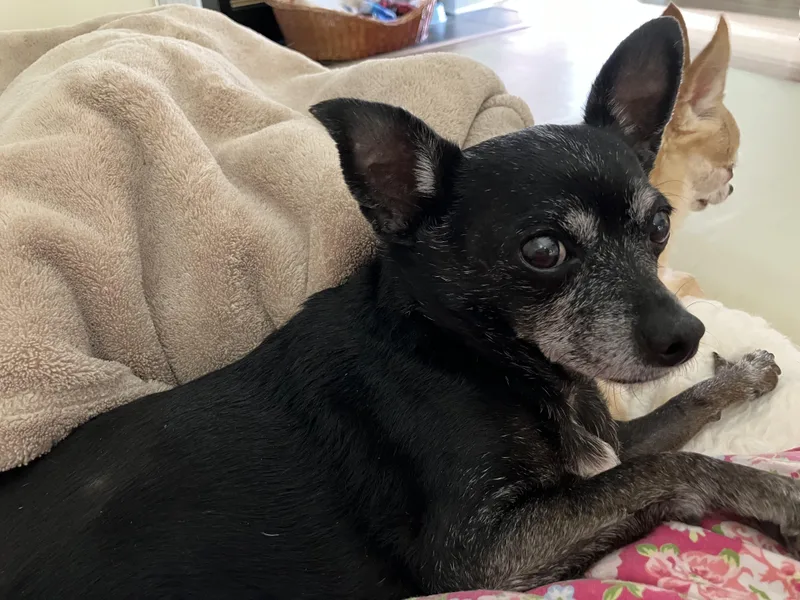 Daisy Hospice thumbnail 2