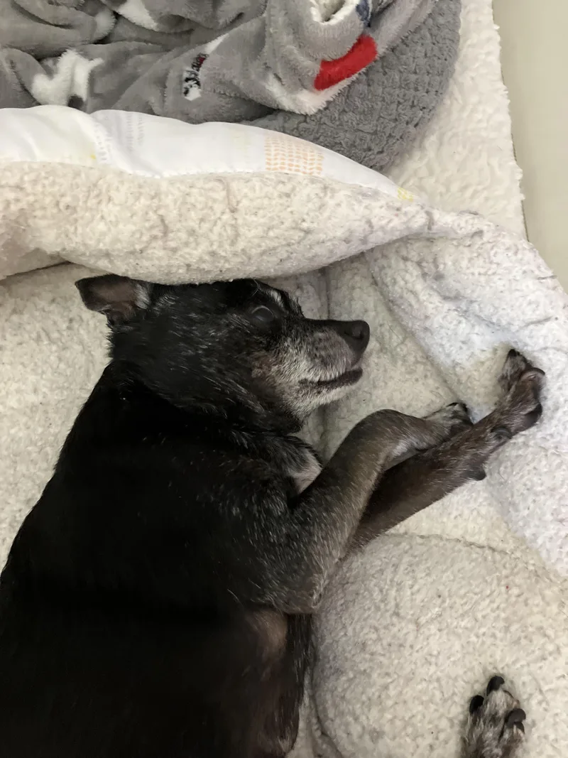 Daisy Hospice thumbnail 4