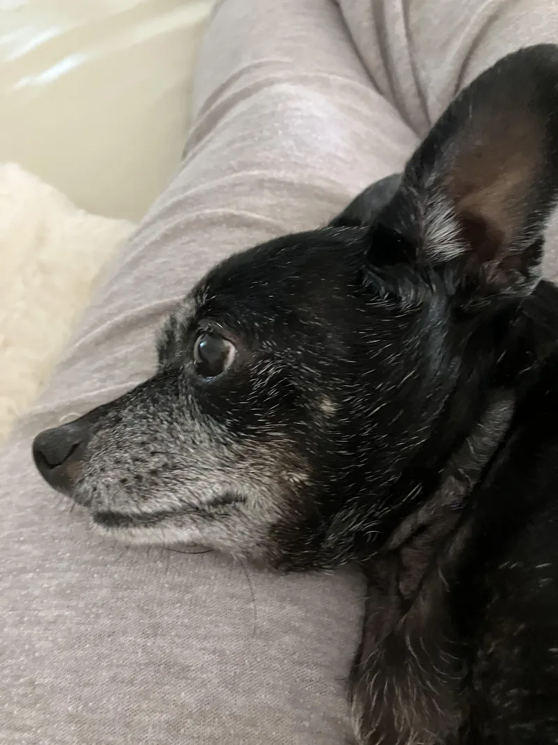 Daisy Hospice thumbnail 5