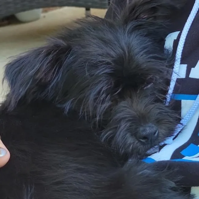 Gretchen thumbnail 5
