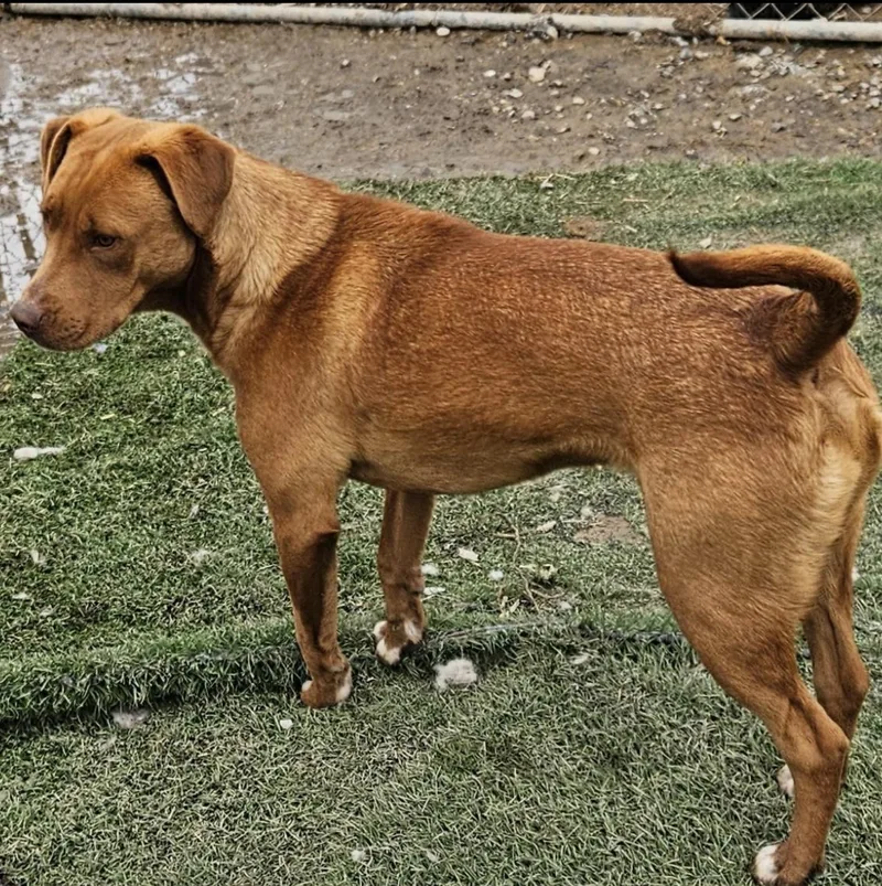 Caine Class ~ Such thumbnail 2