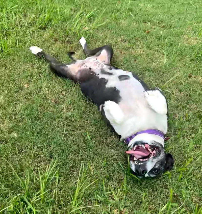 Tracy  Tootsie Roll thumbnail 5