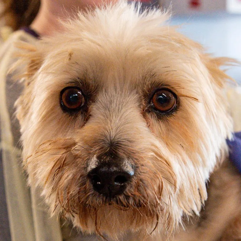 Sam Avail By Appt thumbnail 2